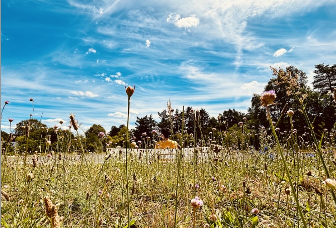 Tantra Retreat Ausbildung Workshop im SoHam Institut